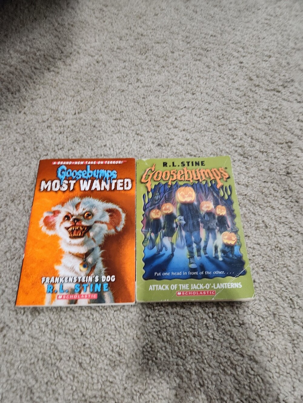 Goosebumps Kids Book Set - Orange & Green Covers by